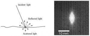 Figure 1: The Tracheid Effect