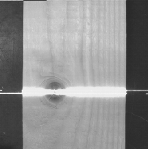 Light Scattering in a Knot