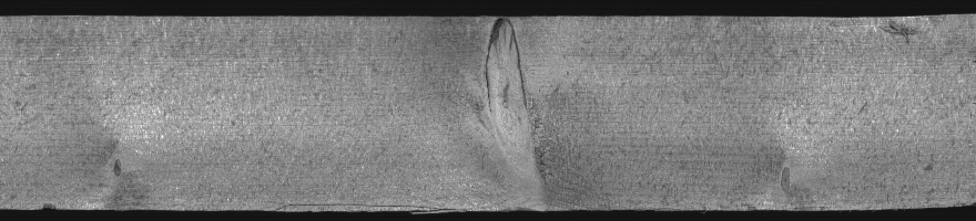 Grayscale Image of the Wood Sample