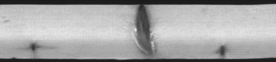 Tracheid or Scatter Image of the Wood Sample